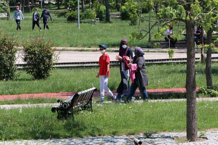 <p>Bolu</p>
