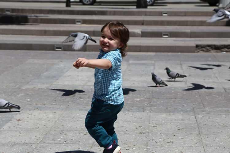<p>Aksaray</p>