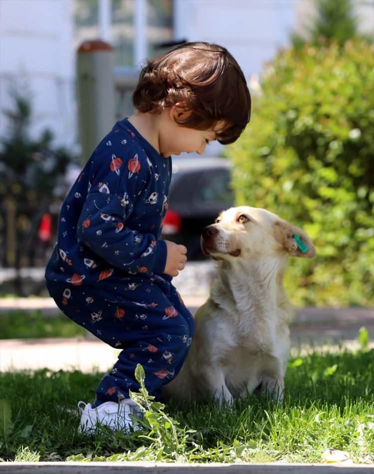 <p>Kırklareli</p>
