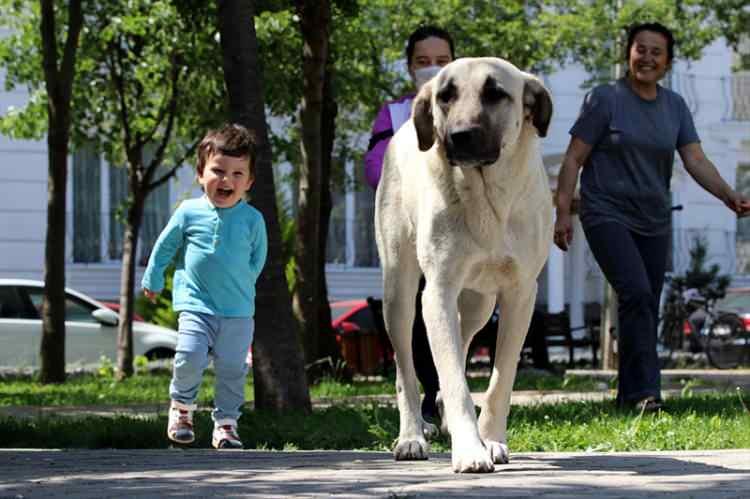 <p>Kırklareli</p>