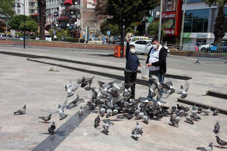 <p>Zonguldak</p>
