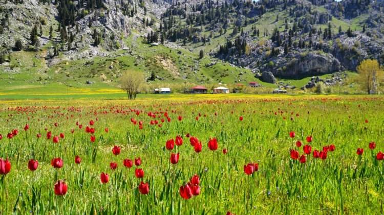 <p>Kahramanmaraş</p>
