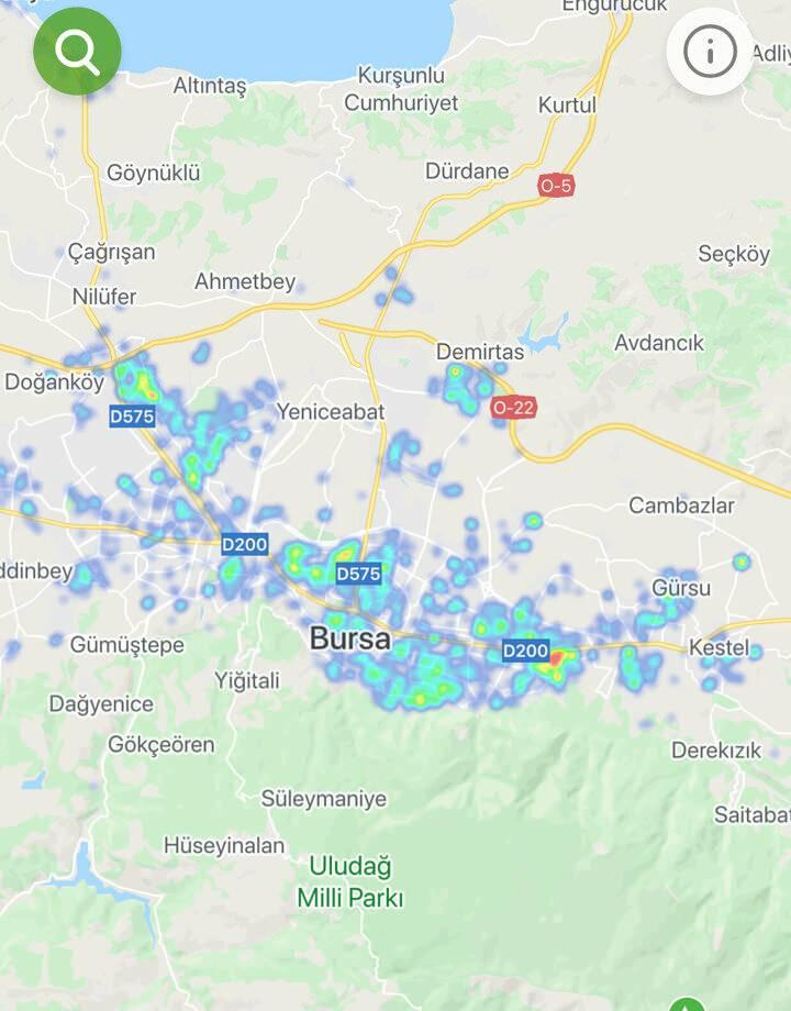 <p>Bursa</p>

<p> </p>
