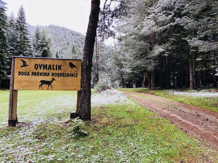 <p>G&uuml;r&uuml;n il&ccedil;esinde etkili olan lapa lapa kar yağışını fırsat bilen Karadoruk k&ouml;y&uuml;nde yaşayan &ccedil;ocuklar, bayramın tadını kartopu oynayarak &ccedil;ıkarttı. Doğanşar il&ccedil;esi G&ouml;&ccedil;&uuml;k&ouml;y'de ise kar yağışı yeşile b&uuml;r&uuml;nen &ccedil;evreyi beyaz &ouml;rt&uuml;yle kapladı. Suşehri il&ccedil;esinde hayvanlarını otlatmak i&ccedil;in yaylaya &ccedil;ıkaran vatandaş, Mayıs ayında yağan karla s&uuml;rpriz yaşadı.</p>
