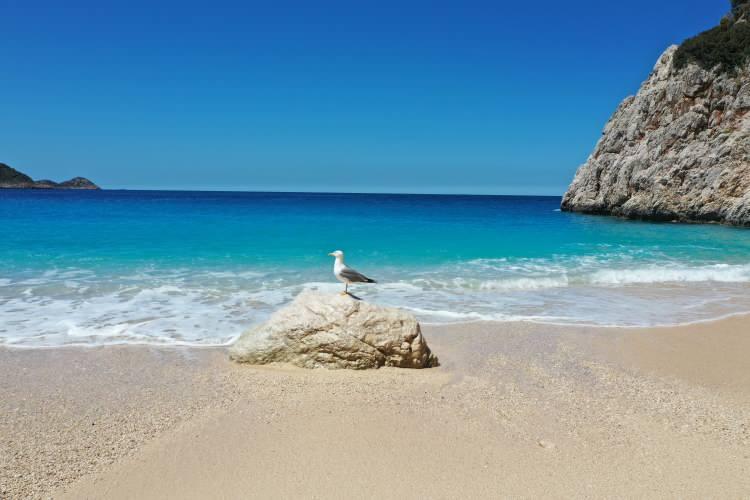 <p>Antalya’nın Kaş ilçesinde bulunan dünyaca ünlü Kaputaş Plajı, dünyayı tehdit eden korona virüs nedeniyle bu Ramazan Bayramı’nda kapılarını ziyaretçilere kapattı. Geçtiğimiz yıl Ramazan Bayramı'nda kilometrelerce araç kuyruğunun oluştuğu plaj, bu sene turkuaz rengiyle martılara ev sahipliği yapıyor.</p>

