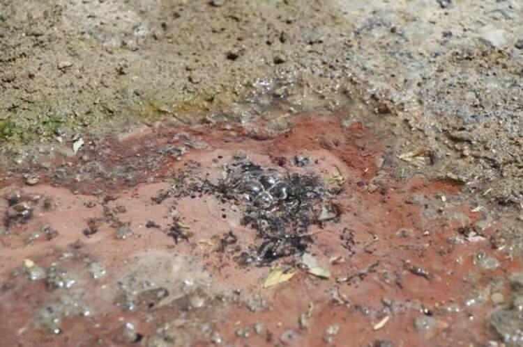 <p>İl&ccedil;ede yaşanan k&uuml;&ccedil;&uuml;k depremler nedeniyle sıcak su kaynaklarının yer değiştirebildiğini kaydeden Şen, "Karayolumuzda bu yer değişimi sebebiyle asfaltın altından sıcak su &ccedil;ıkıyor.</p>

<ul>
</ul>
