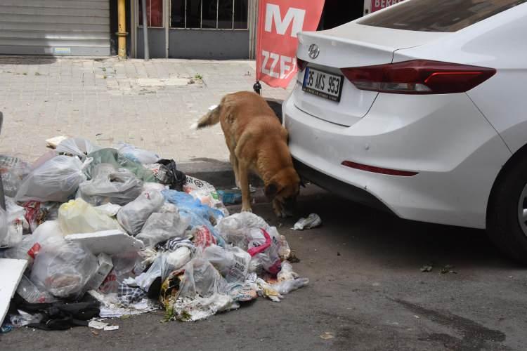 <p>Sokağın vaziyeti ortada. Hastalıktan çıkmaya hazırlanıyoruz ama burada yine hastalık kapacağız. Ne ekip geliyor ne çalışan geliyor. Kimi kime şikayet edeceğiz? Çöpler hem çok kötü kokuyor hem de hastalık yayıyor" ifadelerini kullandı.</p>
