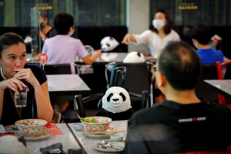 <p>Tayland'ın Bangkok kentinde yine bir restoranda, "sosyal mesafe pandası" müşteriler arasındaki mesafeyi sağlıyor.</p>

<p> </p>
