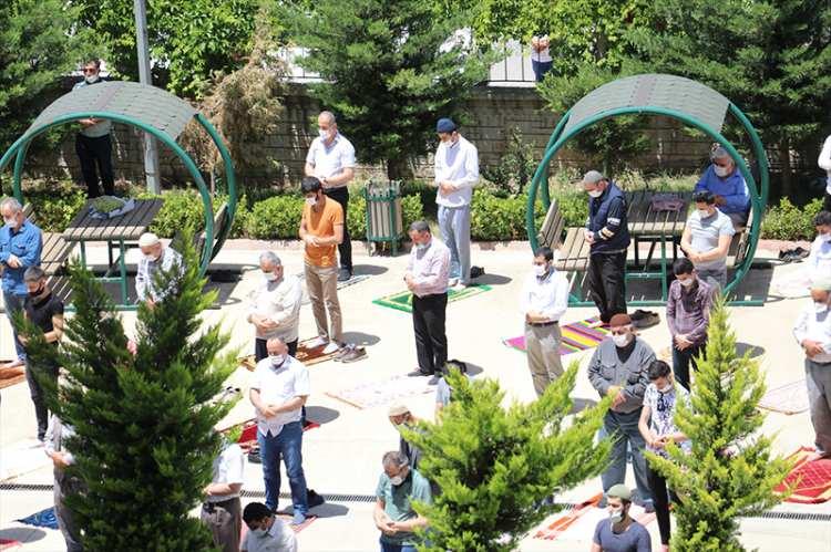 <p>Siirt</p>

