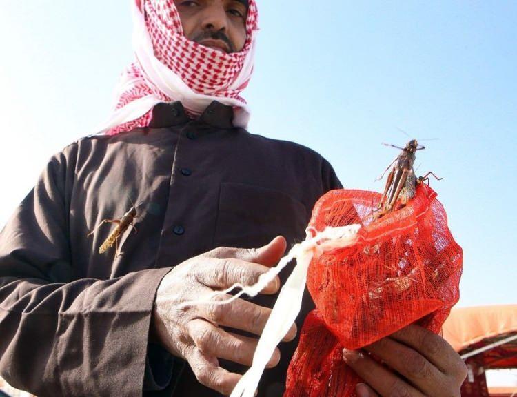 <p>İKİNCİ DALGA DAHA GÜÇLÜ VE UZUN OLABİLİR</p>
<p>Xinhua ajansının haberine göre, üst düzey FAO uzmanı Keith Cressman, yaptığı açıklamada, ikinci dalganın Afrika Boynuzu ülkelerini de etkisi altına alacağını bildirdi.</p>