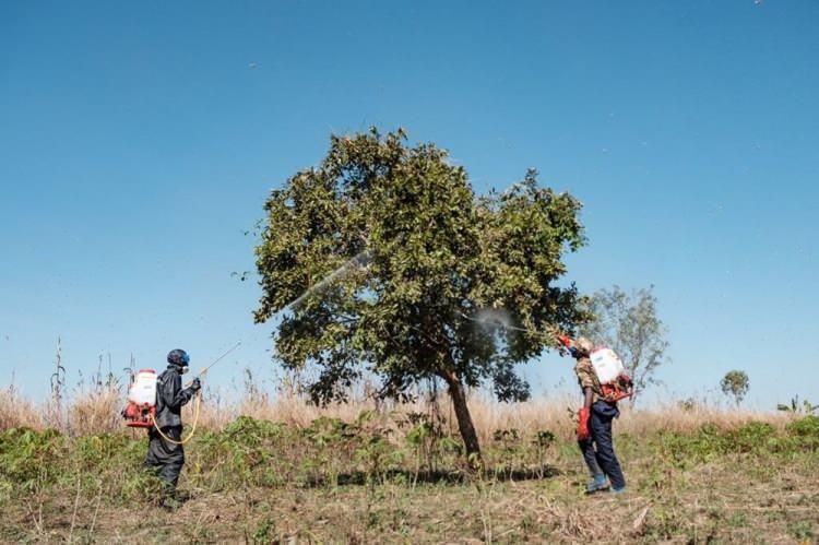 <p>NDMA Başkanı Korgeneral Muhammed Afzal, televizyonda yaptığı açıklamada, temmuz ve ağustos aylarında ikinci dalga çekirge istilası gerçekleşebileceği konusunda uyarıda bulundu.</p>
<p> </p>