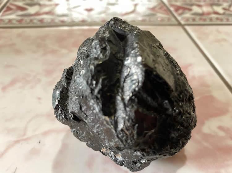  Fındık bah&ccedil;esinde buldu! Y&uuml;zbinlerce dolar edebilir