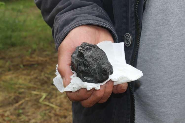  Fındık bah&ccedil;esinde buldu! Y&uuml;zbinlerce dolar edebilir