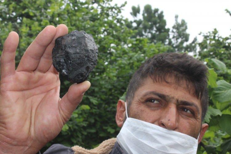  Fındık bah&ccedil;esinde buldu! Y&uuml;zbinlerce dolar edebilir