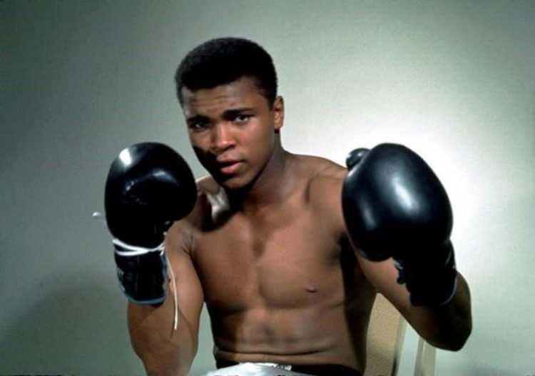 <p>1971'de Joe Frazier ile "asrın maçı" olarak adlandırılan müsabakaya çıkan Muhammed Ali, profesyonel boks kariyerinde ilk defa bir maçı kaybetti.</p>

<p>Ali, aynı yıl bir kez daha karşılaştığı Joe Fraizer'ı bu sefer yenerek dünya ağır sıklet boks şampiyonu unvanını geri aldı. Muhammed Ali, 1977'de Leon Spinks'e yenildi ancak bir yıl sonra rakibini yenerek dünya şampiyonluğunu 3 kez elde eden ilk boksör olarak tarihe geçti.</p>
