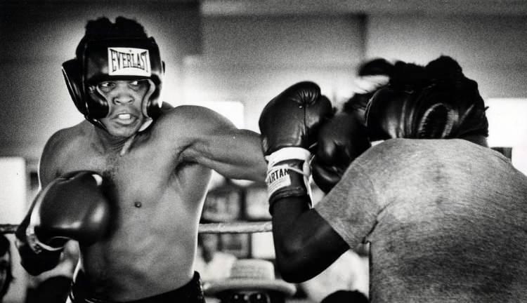 <p>Spor dünyasında 'tüm zamanların en büyüğü' olarak anılan, ömrünü ırkçılık ile ayrımcılıkla mücadeleye adayan efsanevi boksör ve Müslüman aktivist Muhammed Ali vefatının 4. yılında anılıyor.</p>

<ul>
</ul>

<p> </p>
