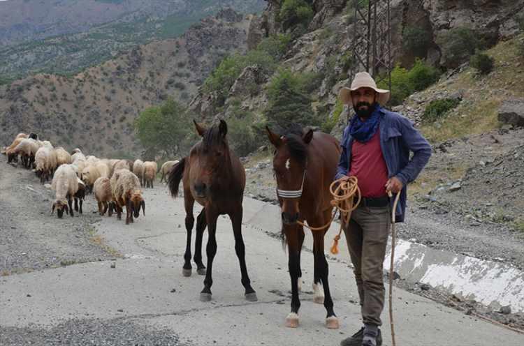 <p>Burada yaklaşık 5 ay kalıyorlar. Muş hayvancılık açısından verimli bir bölge olduğu için insanlar buraya gelmeyi tercih ediyor. </p>

