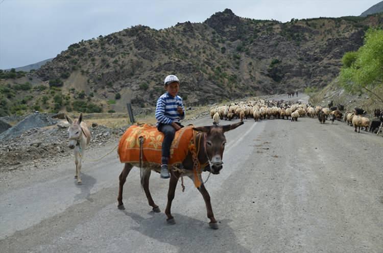 <p>Diyarbakır'ın Kulp ilçesinden gelen göçerlerden Abdüssamed Korkut, her yıl havaların ısınmasıyla Muş'un Şenyayla bölgesine gelerek konakladıklarını söyledi. </p>
<p> </p>