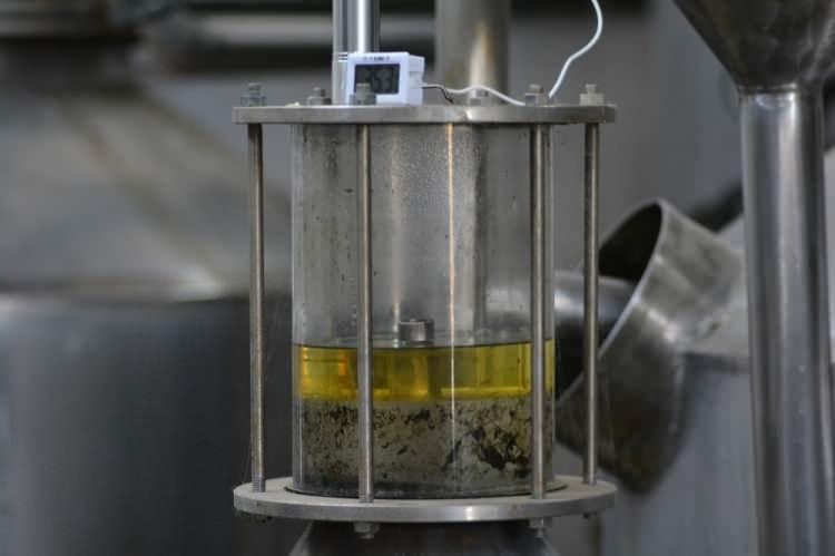 Kilosu 6 bin Euro: &Uuml;retimi başladı