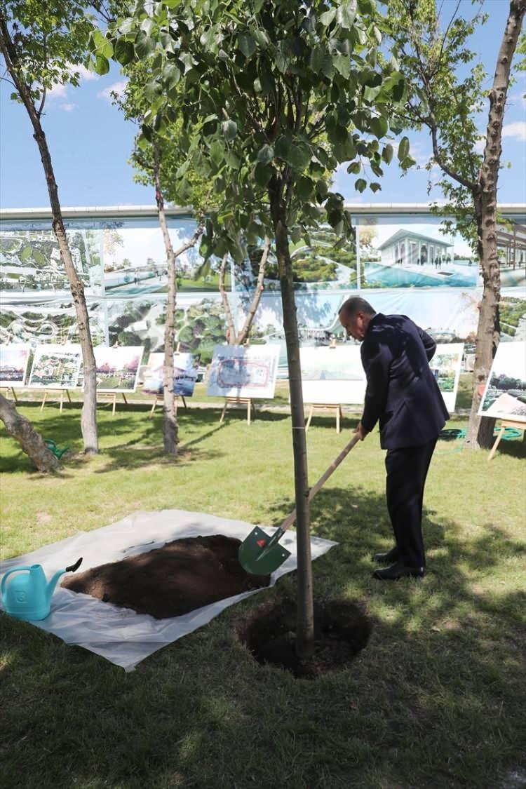 <p>Cumhurbaşkanı Erdoğan, burada ağaç dikerek can suyunu verdi.</p>

