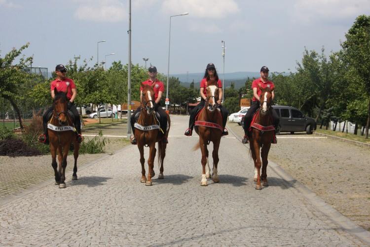 <p>İstanbul genelindeki ormanlarda sürecek olan uygulamalarda Motorize Yunus Ekipleri, Çevik Kuvvet Atlı Polis Timleri, Köpek Timleri, Özel Harekat Polisleri ile havadan termal droneler ve polis helikopteri görev alıyor. Haftanın belirli gün ve saatlerinde uygulanan projede ormanlık alanlarda yunus ekipleri güvenliği yanı sıra aynı zamanda şüpheli şahıslar üzerinde inceleme yapacak. Özel Harekat Polisleri atlı ve köpekli timler araçlarla ulaşılamayan noktalarda devriye görevinde bulunduğu ormanlarda güvenliğin sağlanması hedefleniyor.<br />
 </p>
