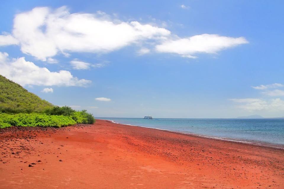 <div><strong>Kırmızı Kumlu Plaj / Galapagos</strong><br />
</div>
<div>Galapagos'taki kırmızı kumsal demir bakımından zengin lav çökeltilerinin oksidizasyonu ile oluşmuş. Ancak bir diğer teori de bunun Bahamalar’daki pembe kumlu plaj gibi mercan kalıntılarından oluştuğu yönünde. Gerçek ne olursa olsun çok çarpıcı ve çekici göründüğü kesin!</div>