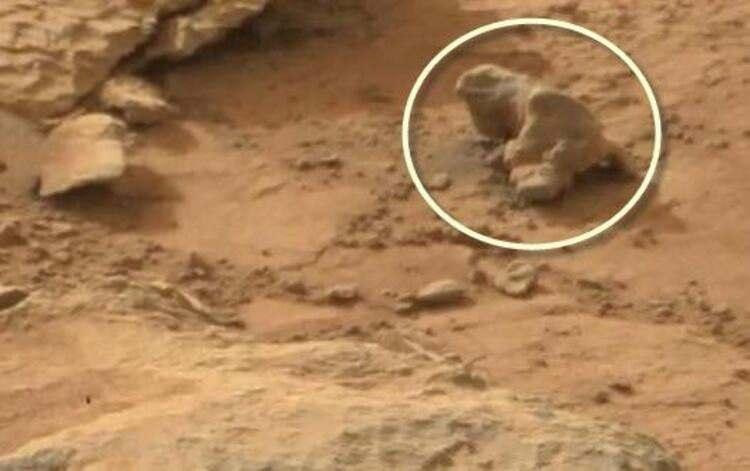 <p>Curiosity'nin çektiği fotoğraflardan birine yakından bakıldığında daha çok tropikal iklimde yaşamını sürdüren iguana benzeri bir cisim dikkat çekiyor.</p>
<p> </p>