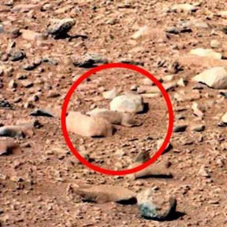 <p>Her ne kadar bilim adamları bunların birer kaya parçası olduğunu dile getirse de fotoğrafı görenler NASA'nın kendilerinden gerçekleri gizlediğini düşünüyor.</p>
<p> </p>
