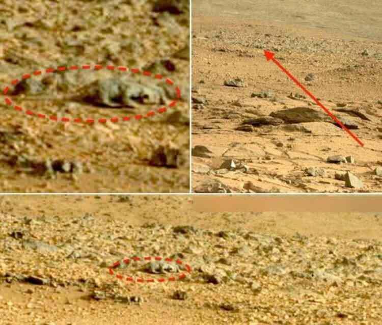 <p>Görünen objenin bir timsahtan farkı yok.</p>

<p> </p>
