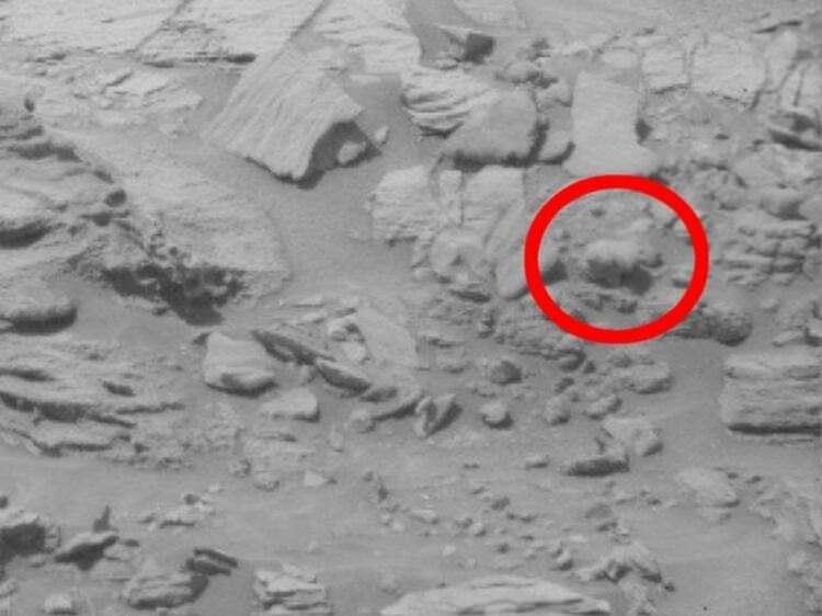 <p>NASA'nın Mars'tan Dünya'ya geçtiği bir başka görüntüde ise objektife yakalanan objenin ayıyı andırdığı iddia edilmişti.</p>

<p> </p>

