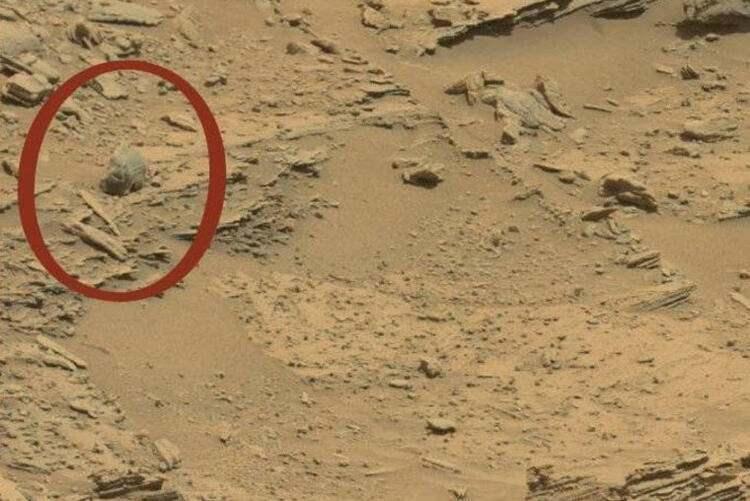<p>Mars yüzeyinde; gözlere, bir buruna, üst çeneye ve iyi korunmuş bir kafa tasına sahipmiş gibi duran tuhaf biçimli bir kaya dikkat çekiyor.</p>
<p> </p>