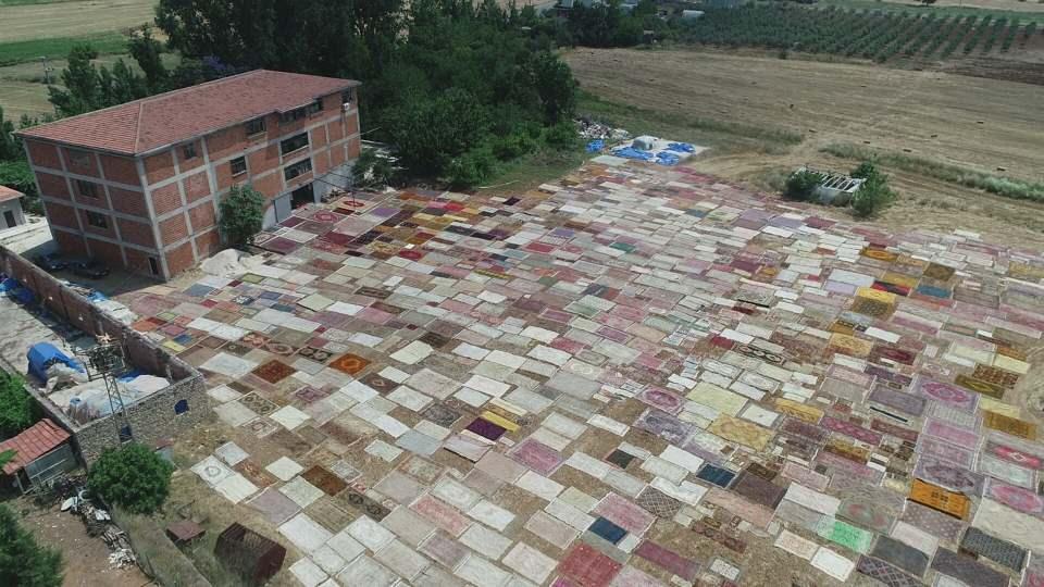 <p> İşçilerin ellerinde yeniden kendine gelen halı ve kilimler ilk yıkama işleminin ardından tarlalarda yerini alıyor. 15 gün arayla her iki yüzü de güneşletilen halı ve kilimler, zaman zaman rüzgar nedeniyle ters dönse de hemen düzeltiliyor. </p>