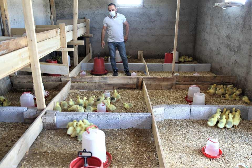 <p>Kaz çiftliğini daha da büyükmeyi hedeflediğini anlatan Kasap, şöyle devam etti: </p>
<p> </p>