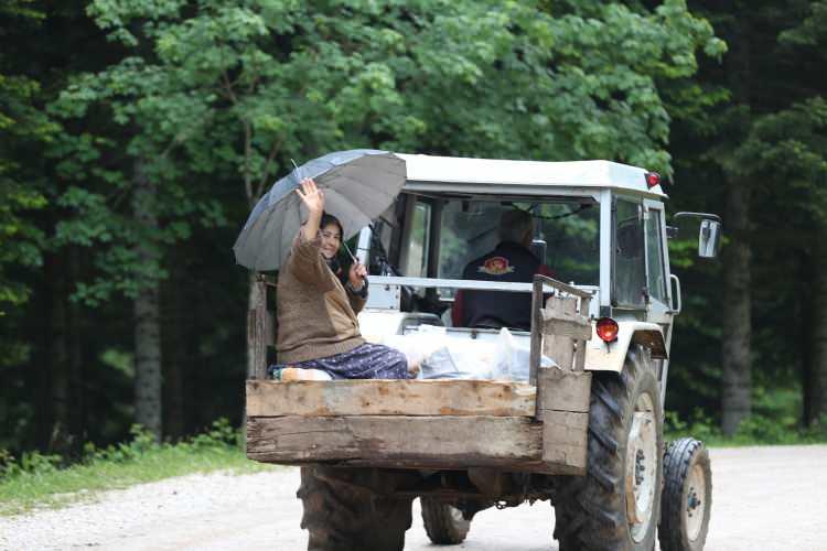 <p>Dikmen Mahallesi'nde, adeta gelin gibi s&uuml;sledikleri hayvanlarını her yıl şenlik havasında Dikmen Yaylası'na&nbsp;&ccedil;ıkaran k&ouml;yl&uuml;ler, bu yıl koronavir&uuml;s nedeniyle yaylaya ayrı ayrı &ccedil;ıkarmak zorunda kaldı.</p>
