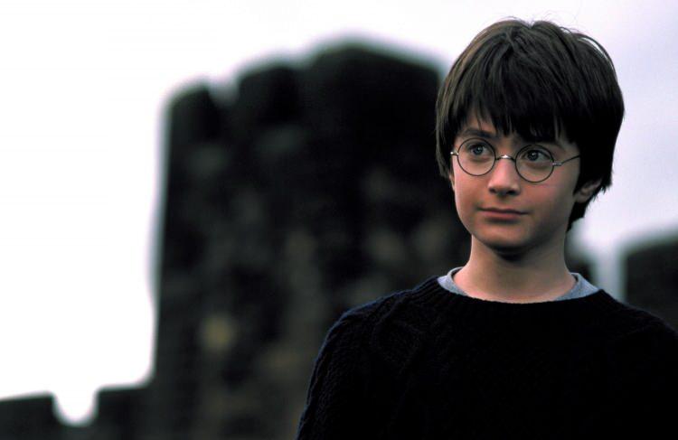 <p>1- Harry Potter</p>
