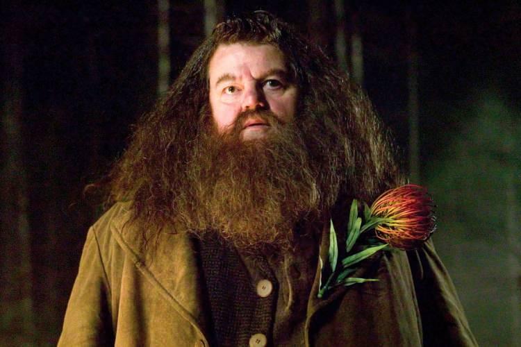 <p>6- Rubeus Hagrid</p>
