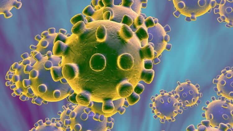<p>ABD'deki Hastalık Kontrol ve Önleme Merkezi corona virüs salgınındaki riskli grupları paylaştı. CDC, 11 riskli gruba dikkat çekti. Eğer bu hastalıklara sahipseniz pandemi günlerinde daha dikkatli olmanız gerekebilir.</p>
