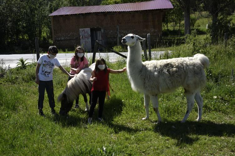 <p>Köyde yaşayan çocuklardan Selahattin Kerem Gökmen ise "Pamuk"u çok sevdiklerini dile getirerek, "Köyün çocukları olarak oynarken o da bazen yanımıza geliyor." dedi. </p>
<p> </p>