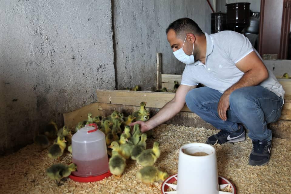 <p>"Kaz yumurtası üretimine başladıktan sonra taleplerin yüzde 20'lik kısmına cevap verebiliyoruz. </p>
<p> </p>