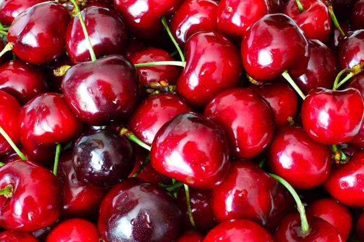 <p><span style="color:#800080"><strong>KİRAZ</strong></span></p>

<p><strong>A ve C vitaminleri bakımından zengin olan kiraz, ağız diş sağlığından böbrek sağlığına kadar birçok hstalığa şifa sağlar. Bunun dışında yapılan araştırmalarda kirazın baş ağrısı ve migran ataklarına doğal ilaç olduğu ortaya çıkarılmıştır.  </strong></p>
