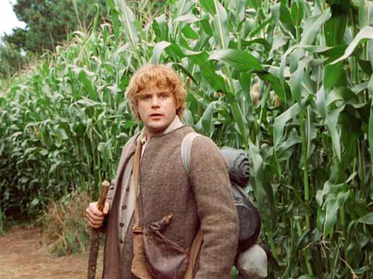 <p>5- Samwise Gamgee</p>
