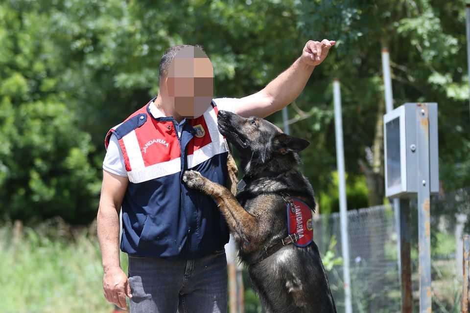 <p><strong>"Kendi ailemizden daha fazla köpeklerimizi görüyoruz"</strong></p>

<p>Teşkilatta 14 yıldır uyuşturucu köpek sorumlusu olarak görev yapan Uzman Jandarma 6. Kademeli Çavuş H.Y. de köpeklerin 52 haftalık eğitim programı ile zorlu eğitimlerden geçtiğini anlattı.</p>
