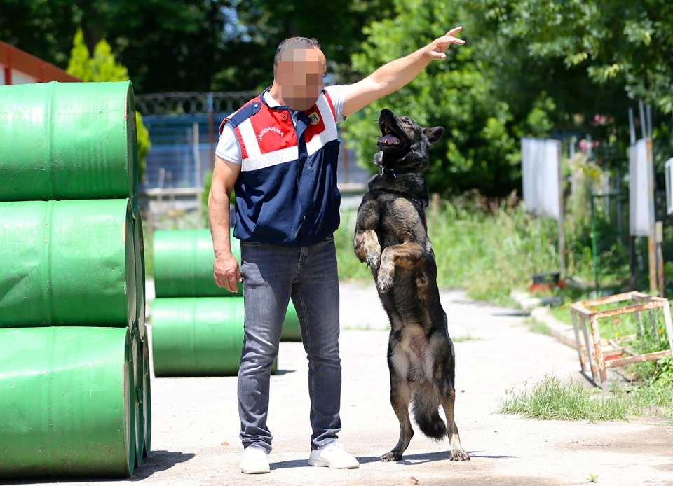 <p>Köpeklerin günlük pentatlon ve branş eğitimlerini yaptıklarını aktaran H.Y, "Günümüzü onlarla geçiriyoruz. Sonuçta kendi ailemizden daha fazla köpeklerimizi görüyoruz. Kendi çocuğumun ağrısını belki köpeğim kadar duymadım. Köpeğimizin gözünün içine bakıyoruz. Kendi çocuğuma bile bu kadar bakmadım. Artık belli bir zamandan sonra farklı bir bağ kuruyorsunuz." diye konuştu.</p>

<p> </p>
