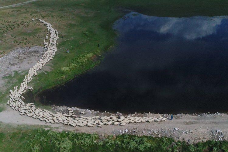 <p>Anadolu merinosu ırkı yetiştirilen işletmede, geçen yıl 17 bin 845 baş küçükbaş bulunurken, 12 bin 502 ise kuzu üretimi gerçekleştirildi.</p>

<p> </p>
