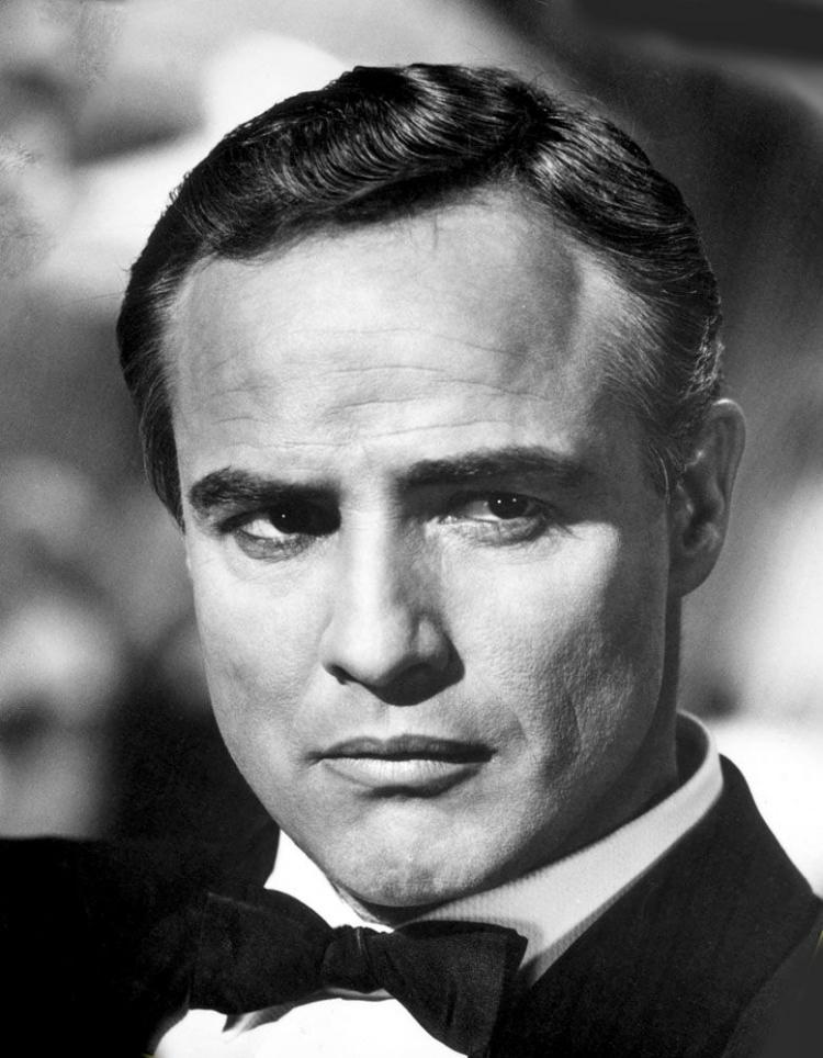 <p>Marlon Brando</p>
