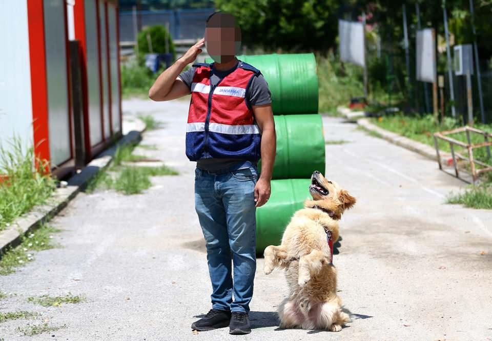 <p>Köpeksiz bir hayatı düşünemediğini vurgulayan H.Y, emekli olduktan sonra Şila'yı almak istediğini sözlerine ekledi. </p>

<p> </p>
