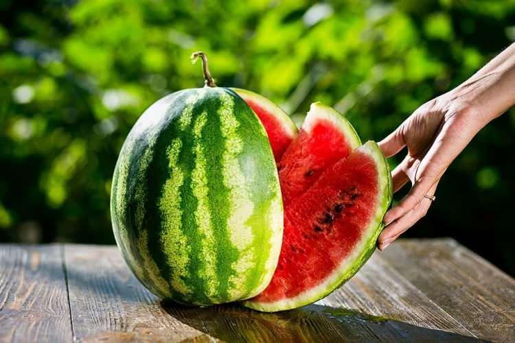<p>KAHVERENGİ SAP</p>
<p>Sapın kahverengi olması, olgunlaştığı anlamına gelir.</p>