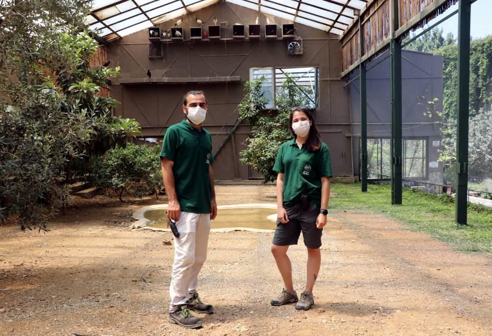 <p>D&uuml;nyada pop&uuml;lasyonları Fas ve T&uuml;rkiye'de, k&uuml;&ccedil;&uuml;k bir grubu da Suriye'de bulunan kelaynakların sayısının artması amacıyla d&ouml;nemin Orman ve Su İşleri Bakanlığı tarafından 2015 yılında 4 kelaynak verilen Faruk Yal&ccedil;ın Hayvanat Bah&ccedil;esi ve Botanik Parkı'nda, bu kuşların sayısı 9'a y&uuml;kseldi.&nbsp;</p>

<p>&nbsp;</p>
