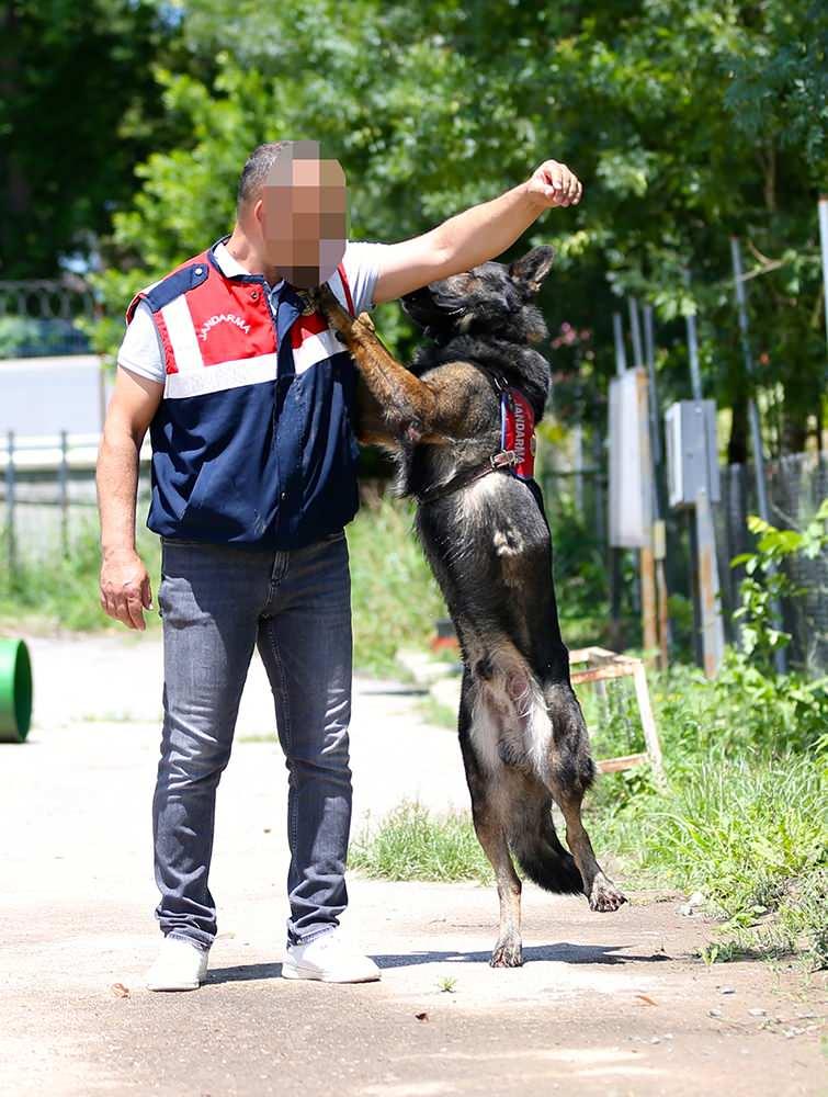 <p>H.Y, köpeğiyle arkadaş-dost ilişkisi yaşadığını vurgulayarak, "Bazen insanlarla konuşamadığınız şeyleri kendi köpeğinizle konuşuyorsunuz. İlişkimiz işten daha farklı bir boyut alıyor." dedi.</p>

<p> </p>
