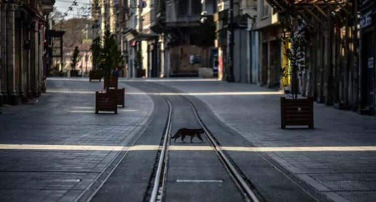 <p>Ancak görevliler maskelerini çıkarmayacaklar. Okul bahçelerindeki yığılmayı önlemek ve sosyal mesafeyi korumak için, adaylar ve sınav görevlileri dışında hiç kimse okul bahçelerine alınmayacak.</p>

<p> </p>
